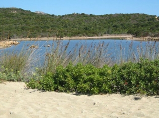  Naturaleza salvaje 